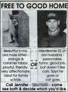 Free to good home.  kitten, husband jennifer