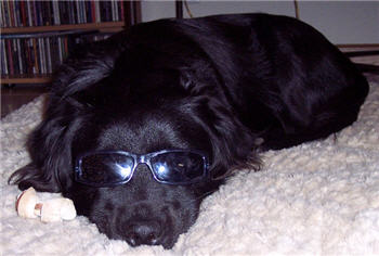 Jupiter showing how cool he is