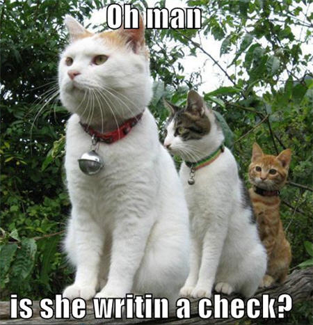 lolcats is she writing a check
