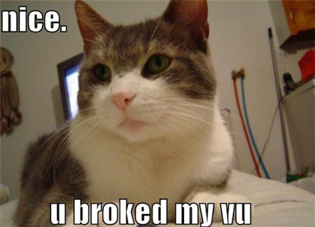 lolcat datasheet view