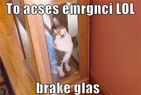 lolcats emergency lol