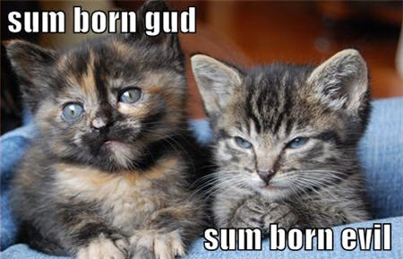 lolcats good evil
