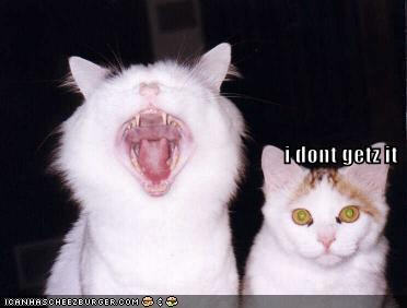 lolcats i dont getz it