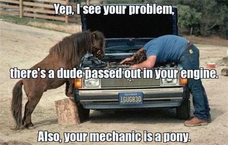 lolcats pony mechanic dude passed out in engine