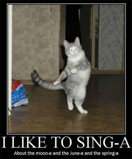 lolcats I like to singa lolcats I like to singa