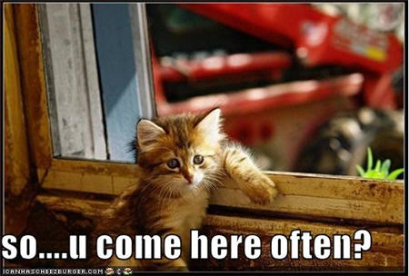 lolcats-so-come-here-often.jpg