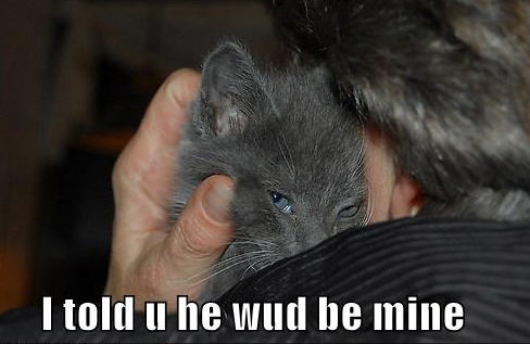 lolcats told you he was mine