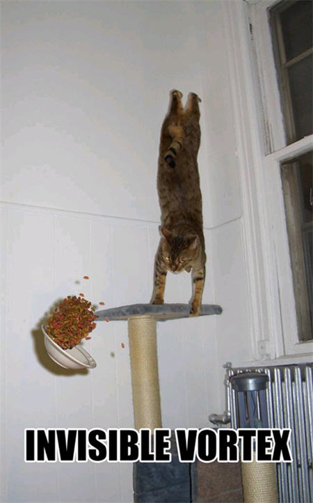 lolcats invisible vortex lolcats invisible vortex