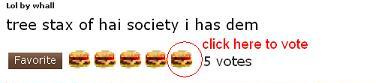 how to vote