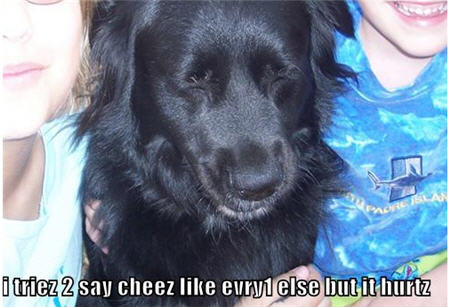whallcats jupiter cheeze